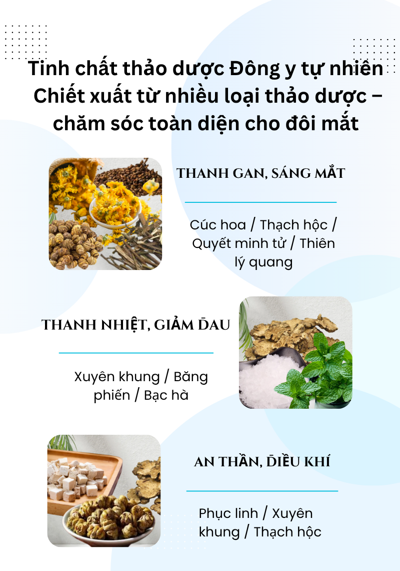 Miếng Dán Mắt Thư Giãn Wise Quest - Gói Chăm Sóc 1 Tháng